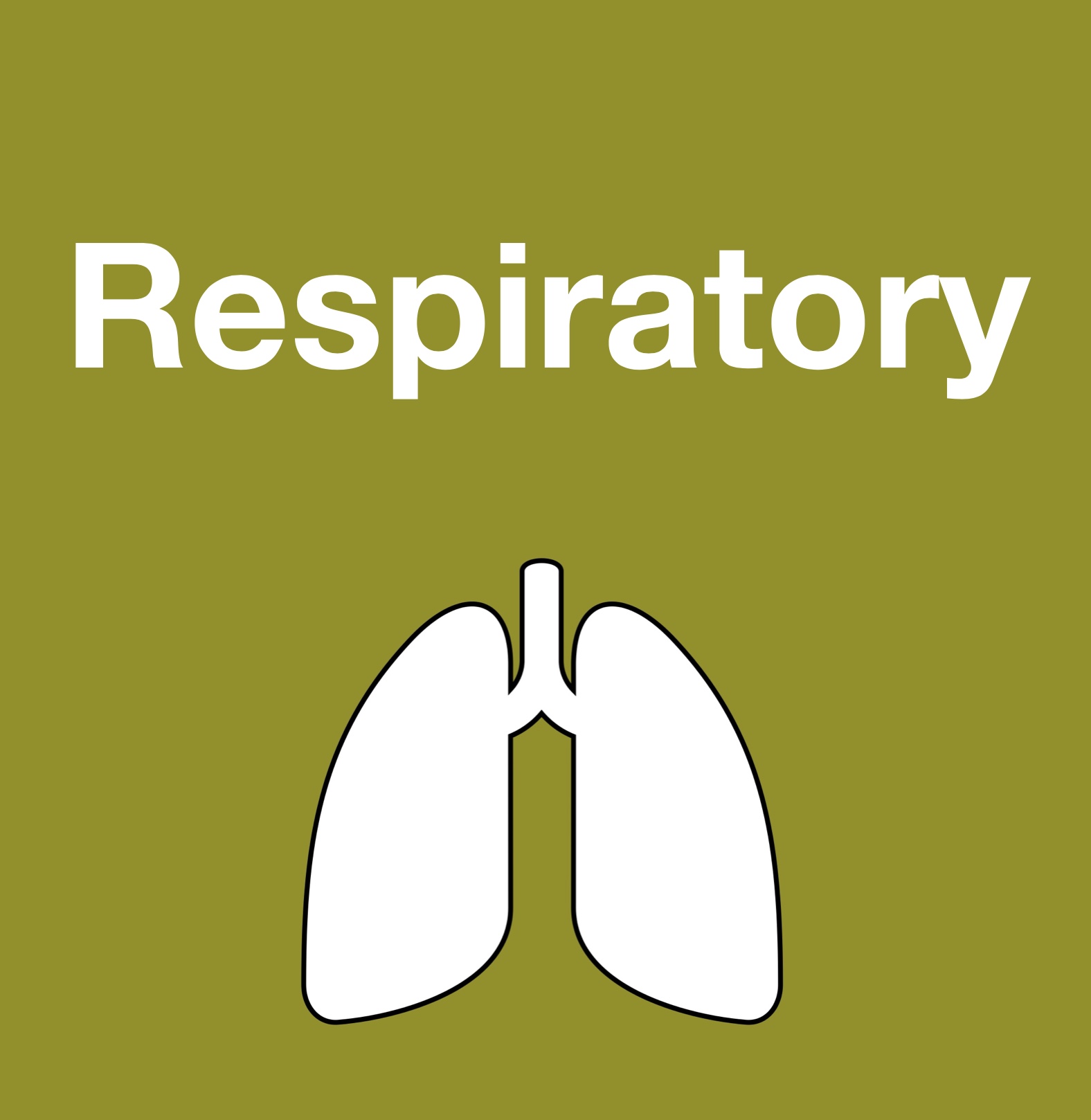 Respiratory In Equipment Hire