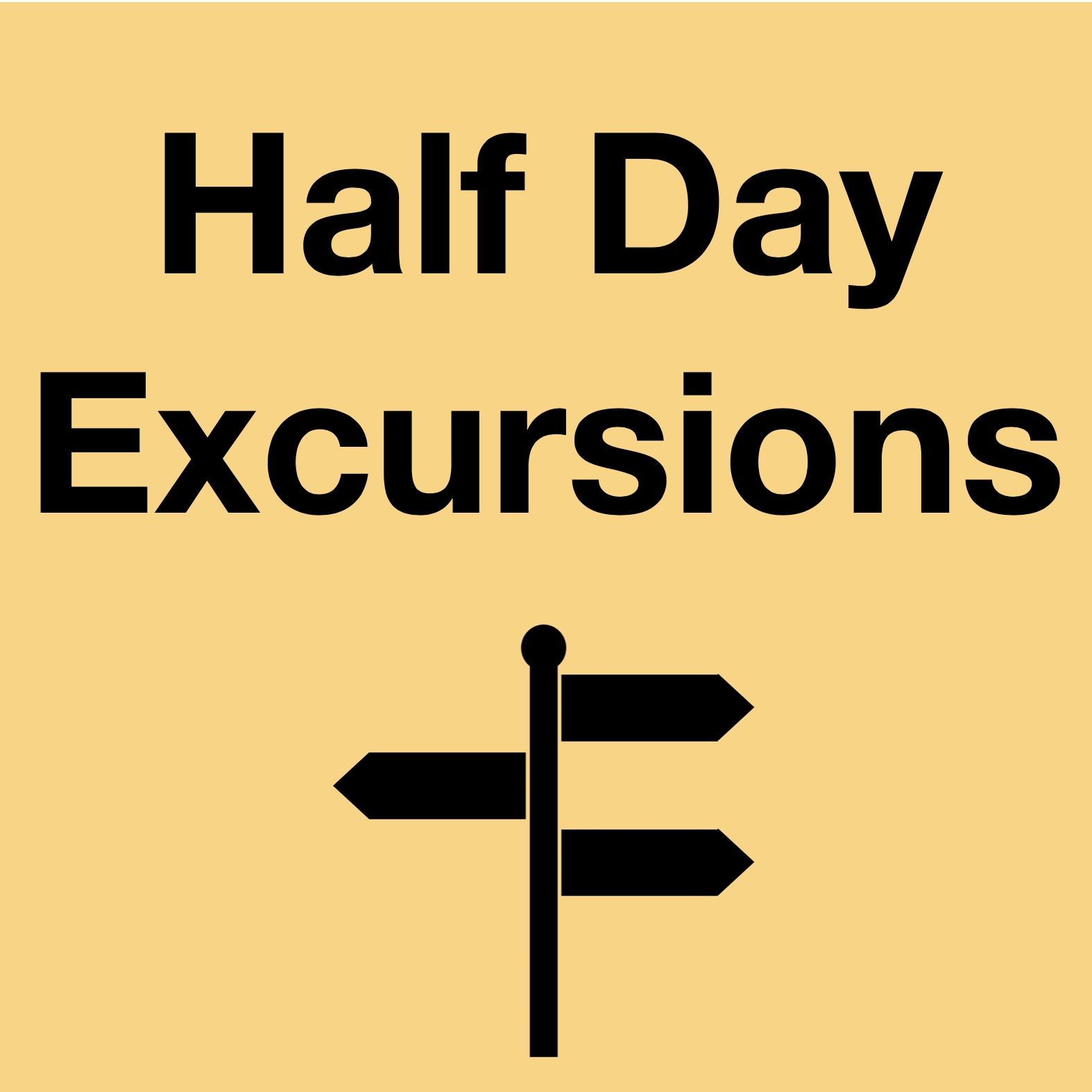 Excursions Half Day In Excursions
