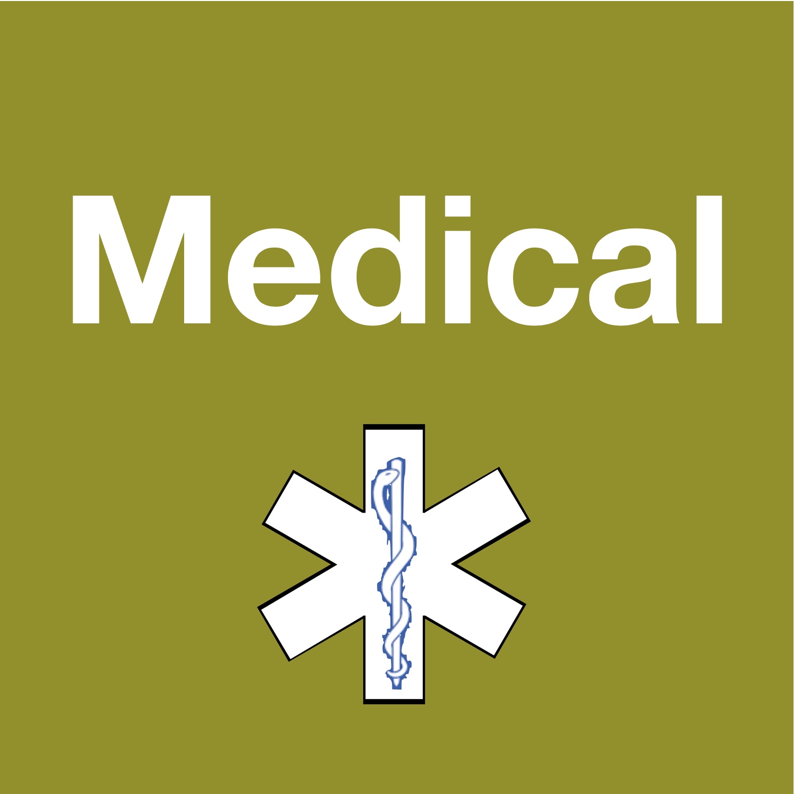 Medical In Support Services